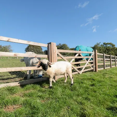 Дом отдыха Eagles Peak Allerston