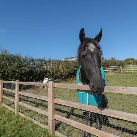 Дом отдыха Eagles Peak *