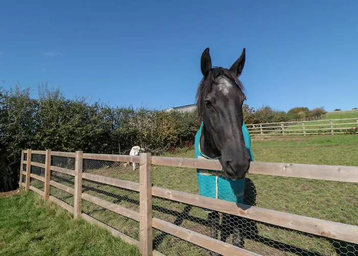 Holiday home Eagles Peak *