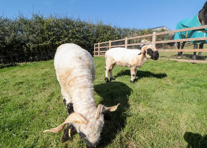 Eagles Peak Holiday home *